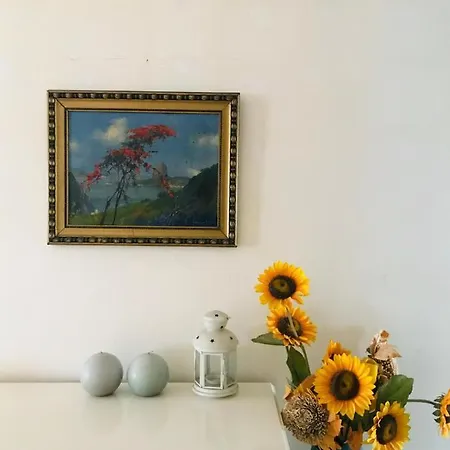 Antas Cozy House * Porto
