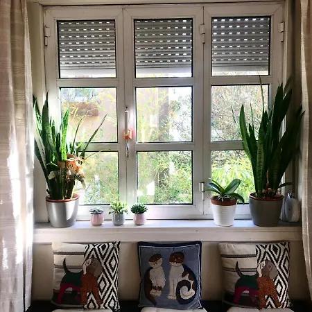 Antas Cozy House Apartment